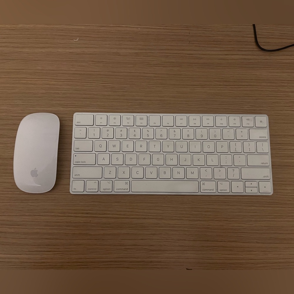 Mac keyboard and mouse (mint condition)